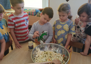 Chłopiec dodaje majonez do sałatki.