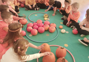 Dzici segregują dynie według kolorów.