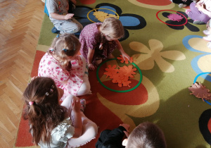 dziewczynka klasyfikuje liścia ze względu na rodzaj