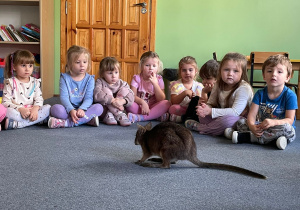 dzieci słuchają opowieści o kangurze