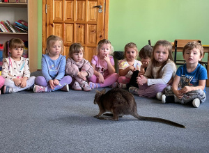 "Odlotowe Pokazy" - spotkanie z kangurem