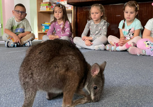 dzieci słuchają opowieści o kangurze