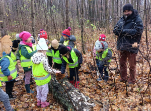 W Lesie Łagiewnickim