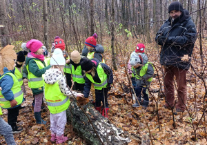 Dzieci szukają dziupli w pieńku.