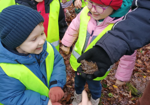 Dzieci oglądają żabkę.