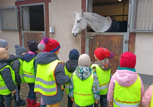Dzieci obserwują konia.