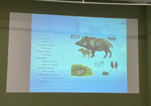 prezentacja multimedialna o zwierzętach