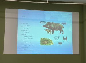 Wycieczka do Lasu Łagiewnickiego