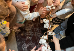 dzieci oglądają bawełnę