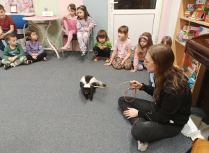 Spotkanie ze skunksem