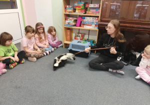 Dzieci obserwują skunksa.