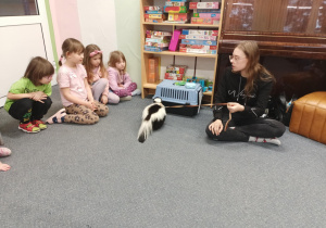 Skunks chce wejść do transportera.