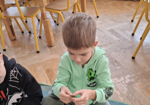 Chłopiec ogląda listek