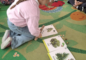 Dziewczynka dopasowuje korę do odpowiedniego drzewa