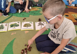 Chłopiec przelicza kasztany