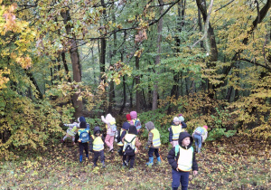 Dzieci szukają liści wzkazanych przez pana przewodnika