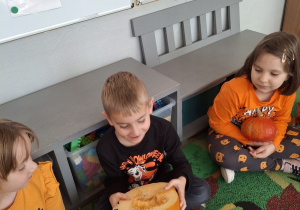 Chłopiec ogląda dynię