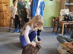 Odlotowe pokazy - spotkanie z kangurem