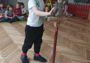 Chłopiec głaszcze sowę.