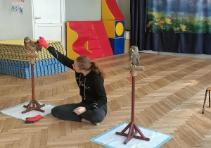 Opiekun pokazuje rodzaje piór sowy.