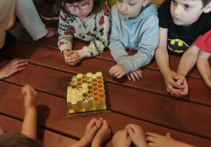 Dzieci oglądają model z poczwarkami.