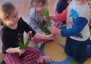 Chłopiec wręcza tulipana dziewczynce.
