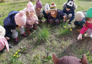 Dzieci obserwują rosnące w trawie narcyze i hiacynty.